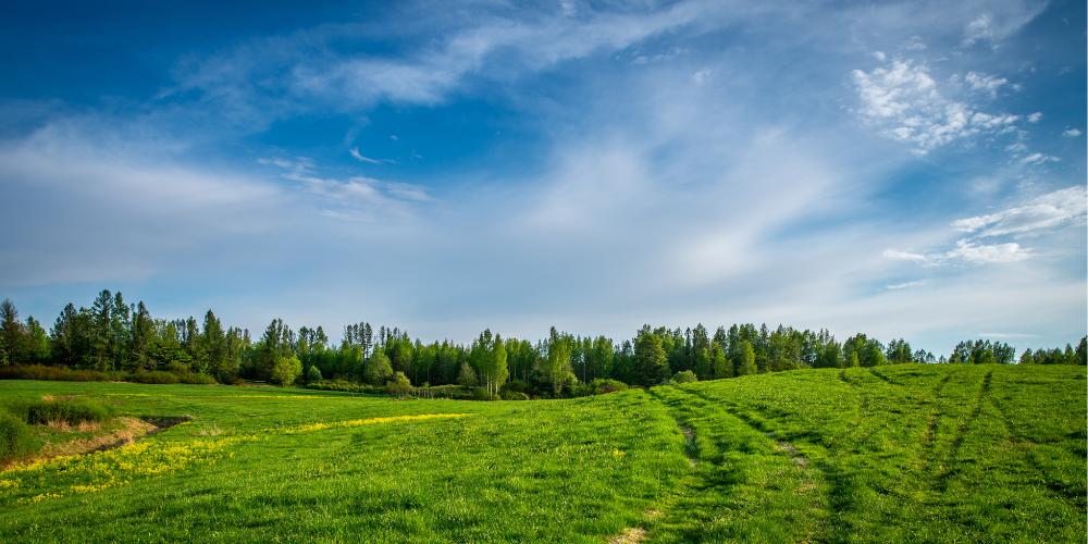 Why You Need to Recheck Your IT Cooling Solutions in the Summer Months